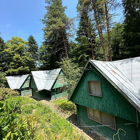 Nunisi Forest Hotel & Spa Εξωτερικό φωτογραφία