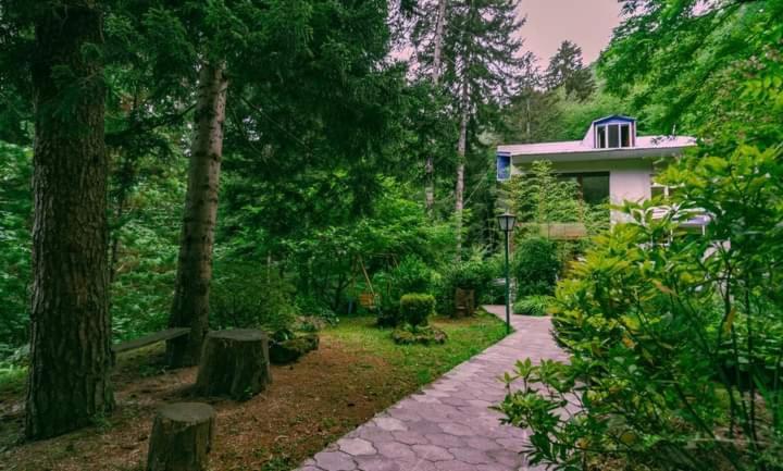 Nunisi Forest Hotel & Spa Εξωτερικό φωτογραφία