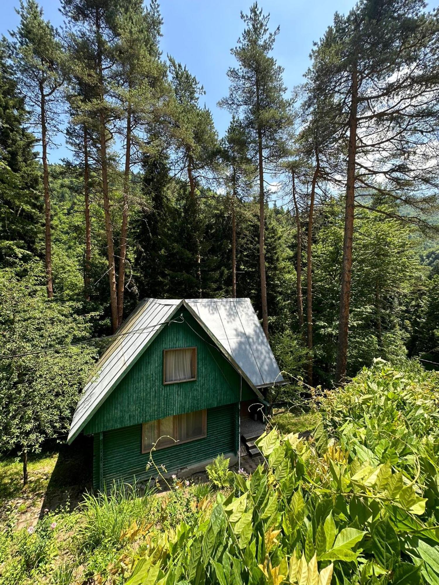 Nunisi Forest Hotel & Spa Εξωτερικό φωτογραφία