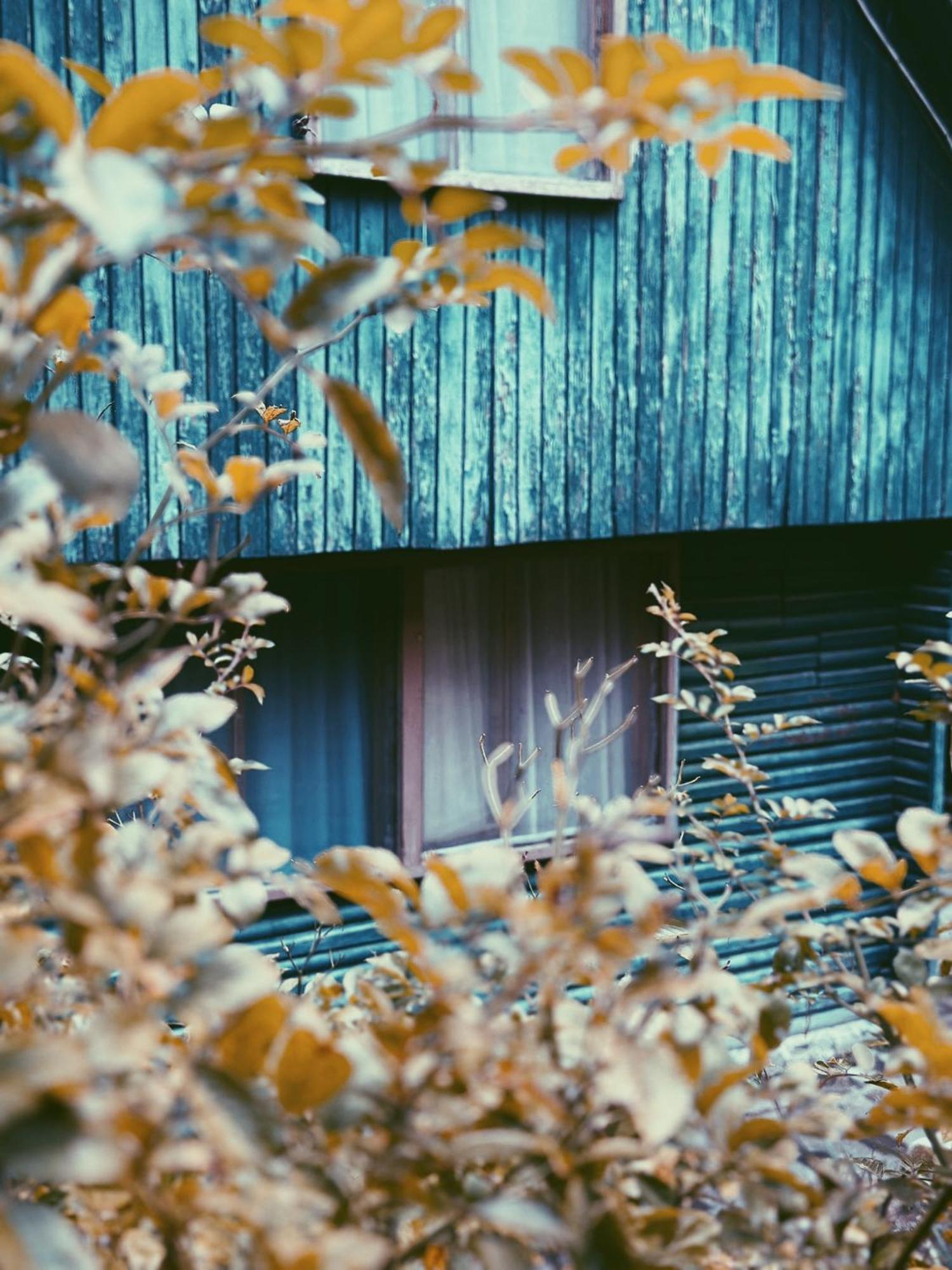 Nunisi Forest Hotel & Spa Εξωτερικό φωτογραφία
