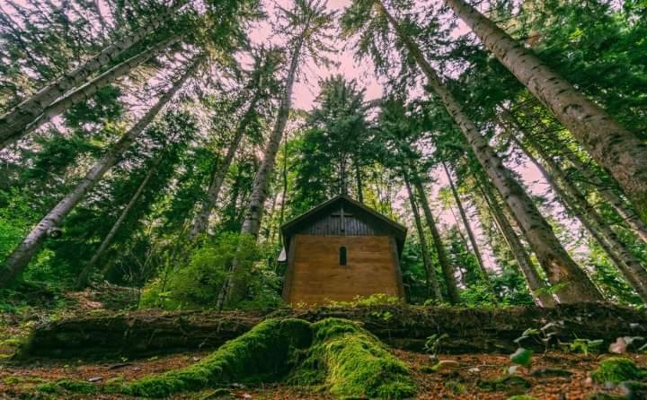 Nunisi Forest Hotel & Spa Εξωτερικό φωτογραφία